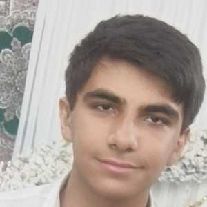 امیررضا  زارع زاده